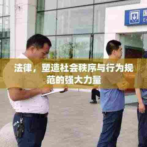 法律，塑造社会秩序与行为规范的强大力量