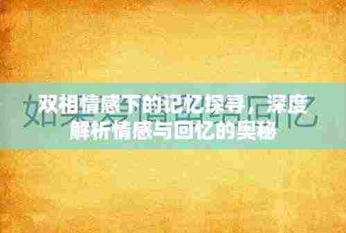 双相情感下的记忆探寻，深度解析情感与回忆的奥秘