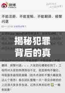 揭秘犯罪背后的真相，抓码王独家爆料