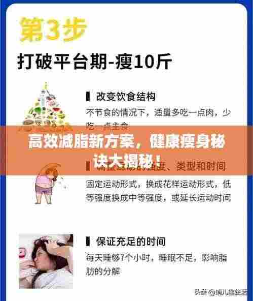 高效减脂新方案，健康瘦身秘诀大揭秘！