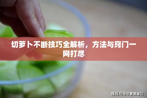 切萝卜不断技巧全解析，方法与窍门一网打尽