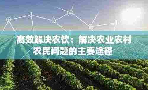 高效解决农饮：解决农业农村农民问题的主要途径 