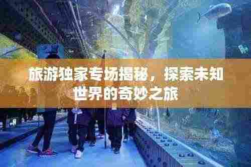 旅游独家专场揭秘，探索未知世界的奇妙之旅