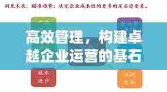 高效管理，构建卓越企业运营的基石之道