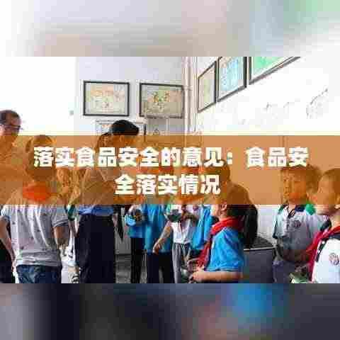 落实食品安全的意见：食品安全落实情况 