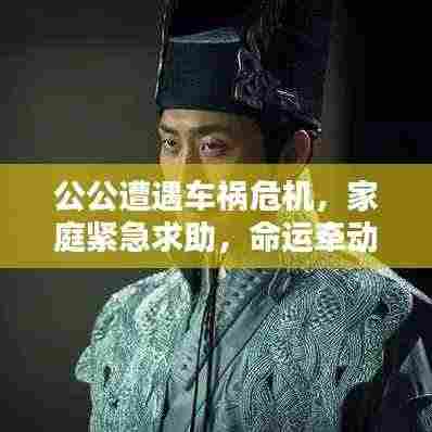 公公遭遇车祸危机，家庭紧急求助，命运牵动人心