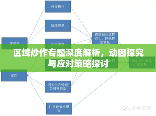 区域炒作专题深度解析，动因探究与应对策略探讨