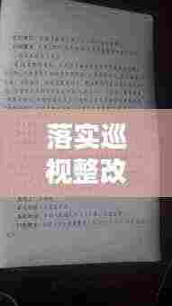 落实巡视整改的内容：落实巡视整改意见 