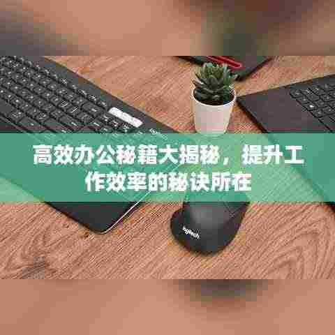 高效办公秘籍大揭秘，提升工作效率的秘诀所在