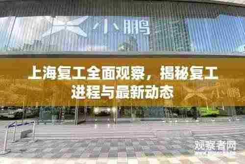 上海复工全面观察，揭秘复工进程与最新动态