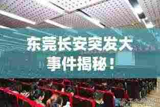 东莞长安突发大事件揭秘！