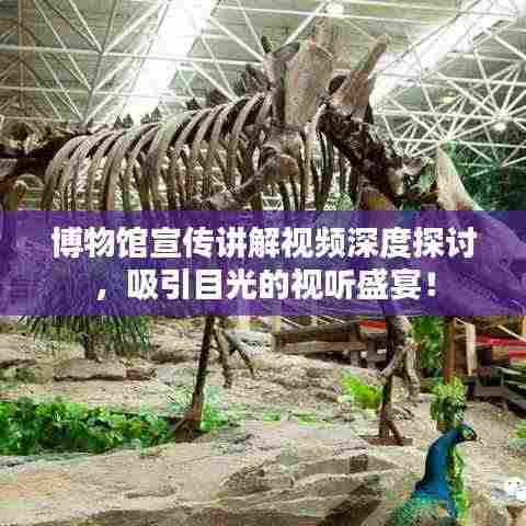 博物馆宣传讲解视频深度探讨，吸引目光的视听盛宴！