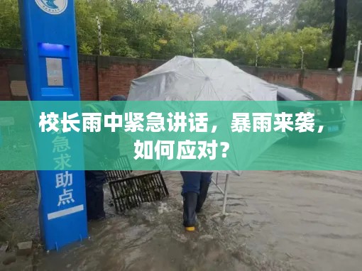 校长雨中紧急讲话,暴雨来袭,如何应对?