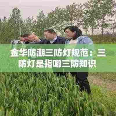 金华防潮三防灯规范：三防灯是指哪三防知识 