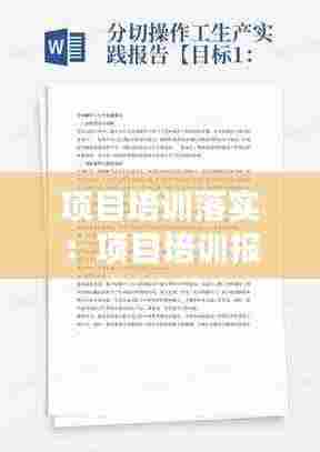 项目培训落实：项目培训报告 