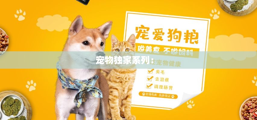 宠物独家系列： 