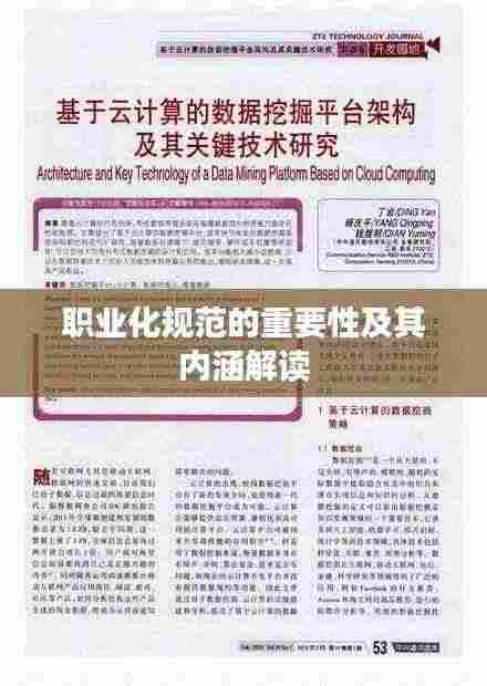 职业化规范的重要性及其内涵解读
