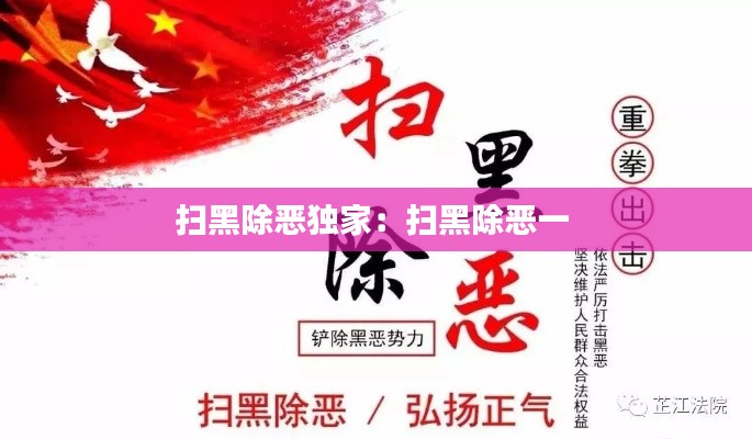 扫黑除恶独家：扫黑除恶一 