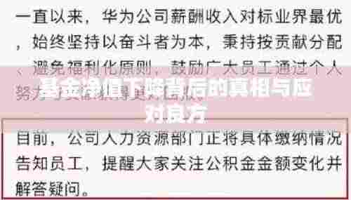 基金净值下降背后的真相与应对良方