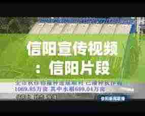 信阳宣传视频：信阳片段 