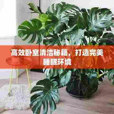 高效卧室清洁秘籍，打造完美睡眠环境