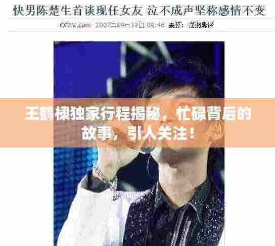 王鹤棣独家行程揭秘，忙碌背后的故事，引人关注！