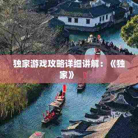 独家游戏攻略详细讲解：《独家》 