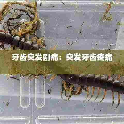 牙齿突发剧痛：突发牙齿疼痛 
