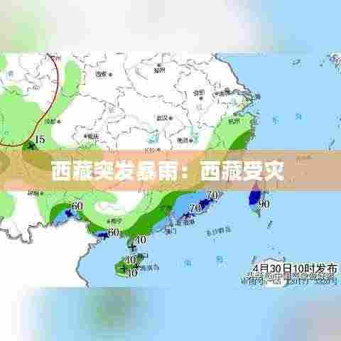 西藏突发暴雨：西藏受灾 