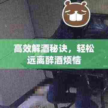 高效解酒秘诀，轻松远离醉酒烦恼