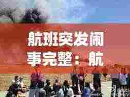 航班突发闹事完整：航班失事视频 