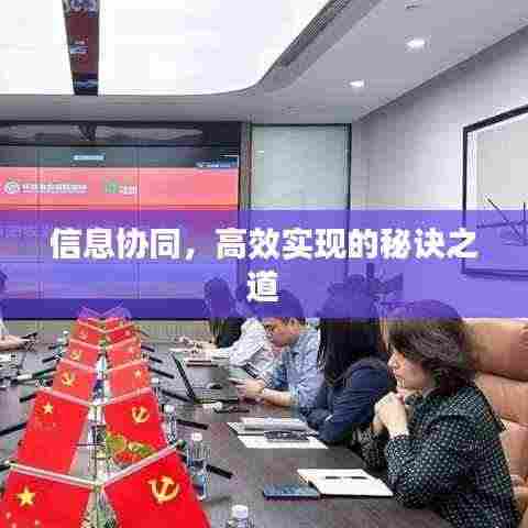 信息协同，高效实现的秘诀之道