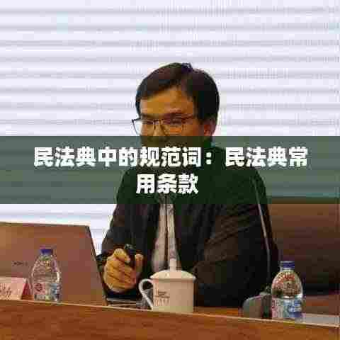 民法典中的规范词：民法典常用条款 