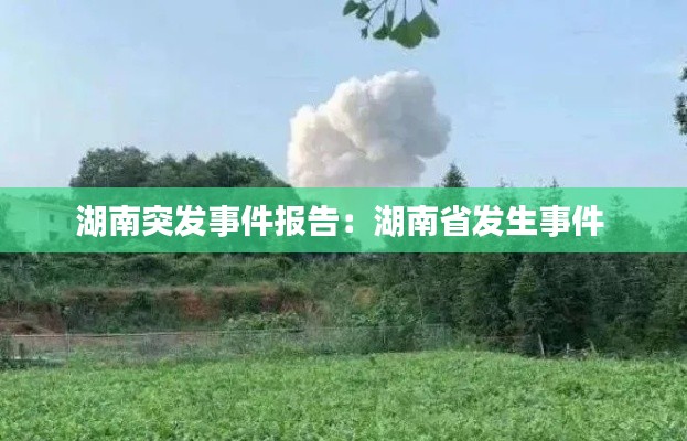 湖南突发事件报告：湖南省发生事件 