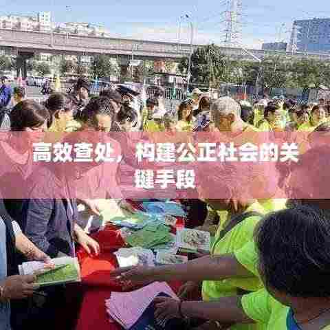 高效查处，构建公正社会的关键手段