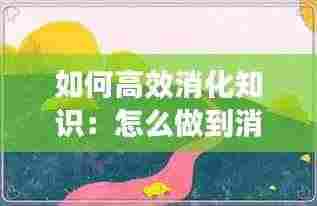 如何高效消化知识：怎么做到消化好 