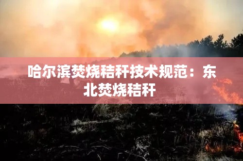 哈尔滨焚烧秸秆技术规范：东北焚烧秸秆 
