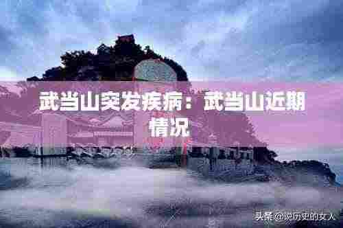 武当山突发疾病：武当山近期情况 