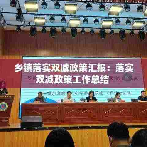 乡镇落实双减政策汇报：落实双减政策工作总结 