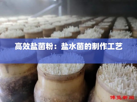 高效盐菌粉：盐水菌的制作工艺 