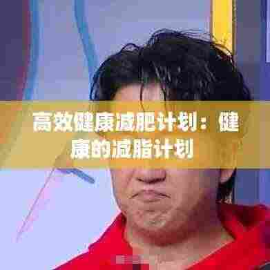 高效健康减肥计划：健康的减脂计划 