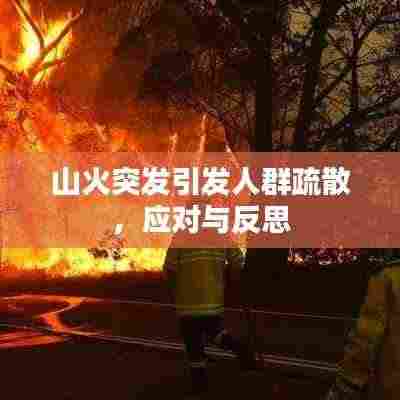 山火突发引发人群疏散，应对与反思