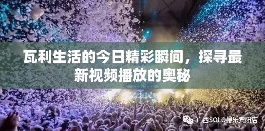 瓦利生活的今日精彩瞬间，探寻最新视频播放的奥秘