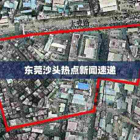 东莞沙头热点新闻速递