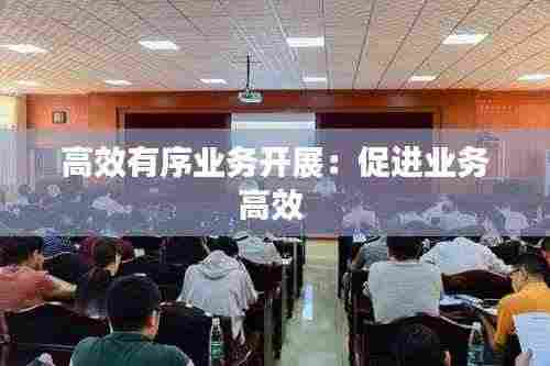 高效有序业务开展：促进业务高效 
