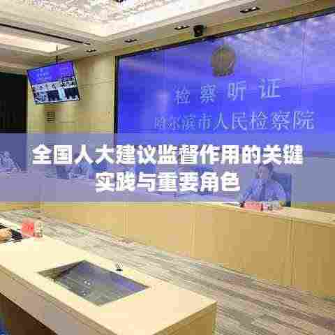 全国人大建议监督作用的关键实践与重要角色
