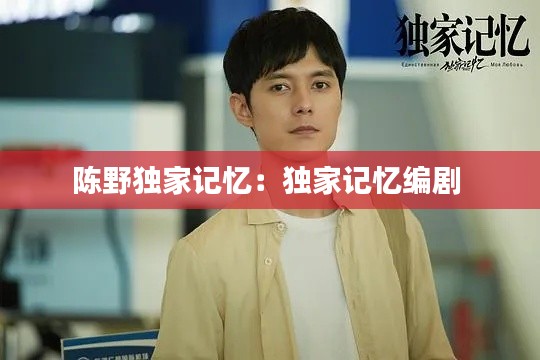 陈野独家记忆:独家记忆编剧