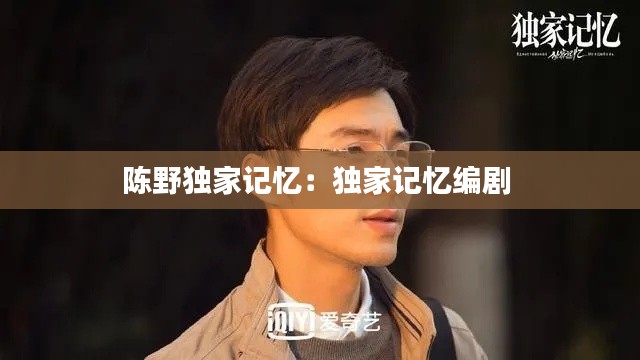 陈野独家记忆：独家记忆编剧 