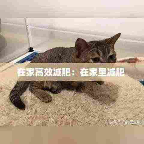 普度众生 第4页