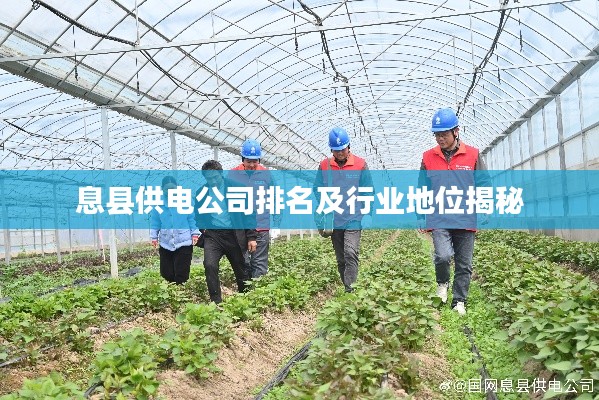 息县供电公司排名及行业地位揭秘